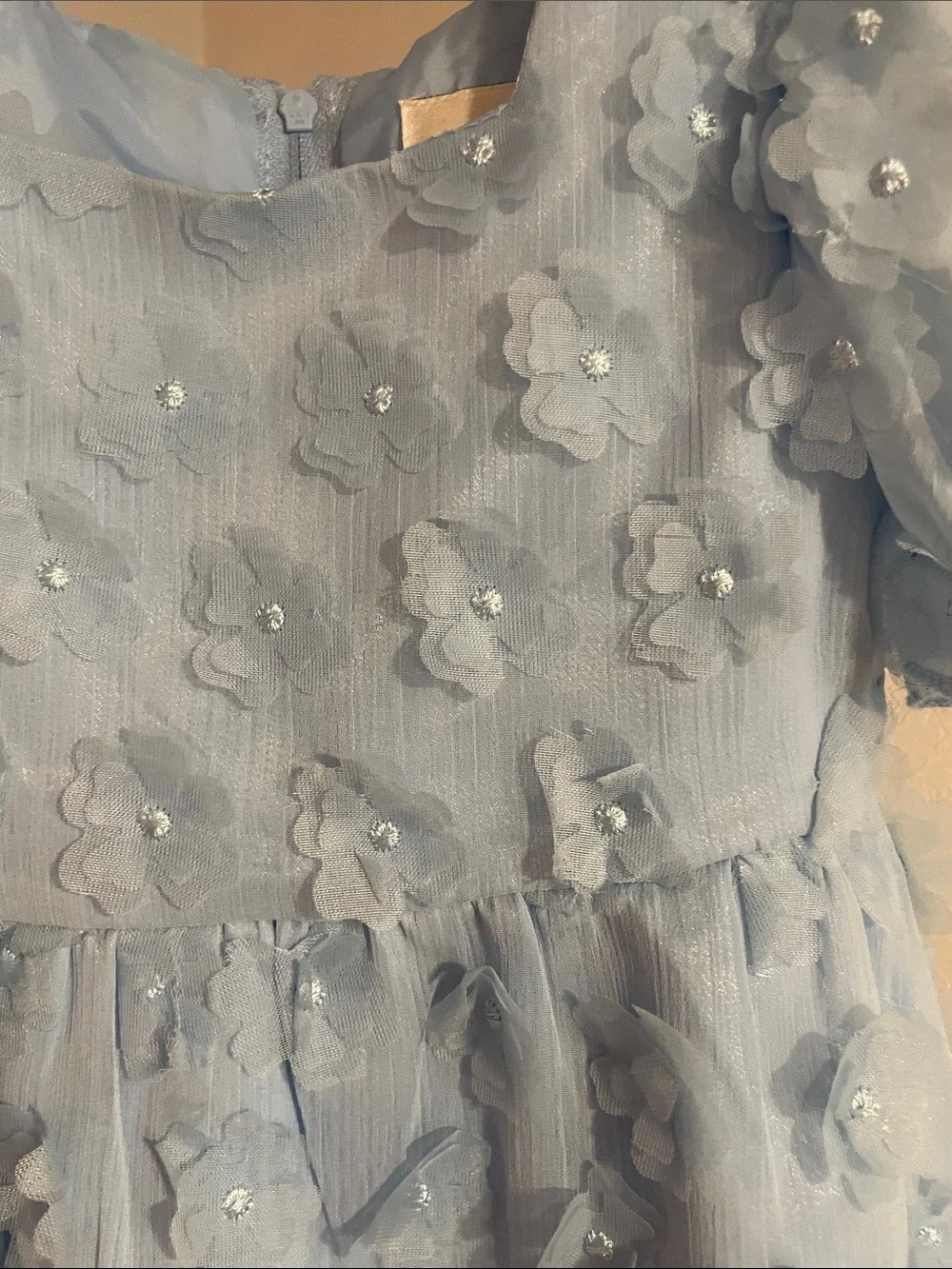 Rare Editions Light Blue Floral Applique Party Dress